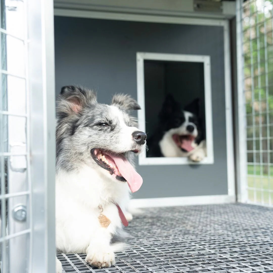 Raised Safety Kennel